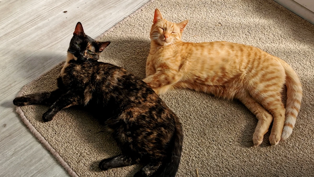 Stella und Maris