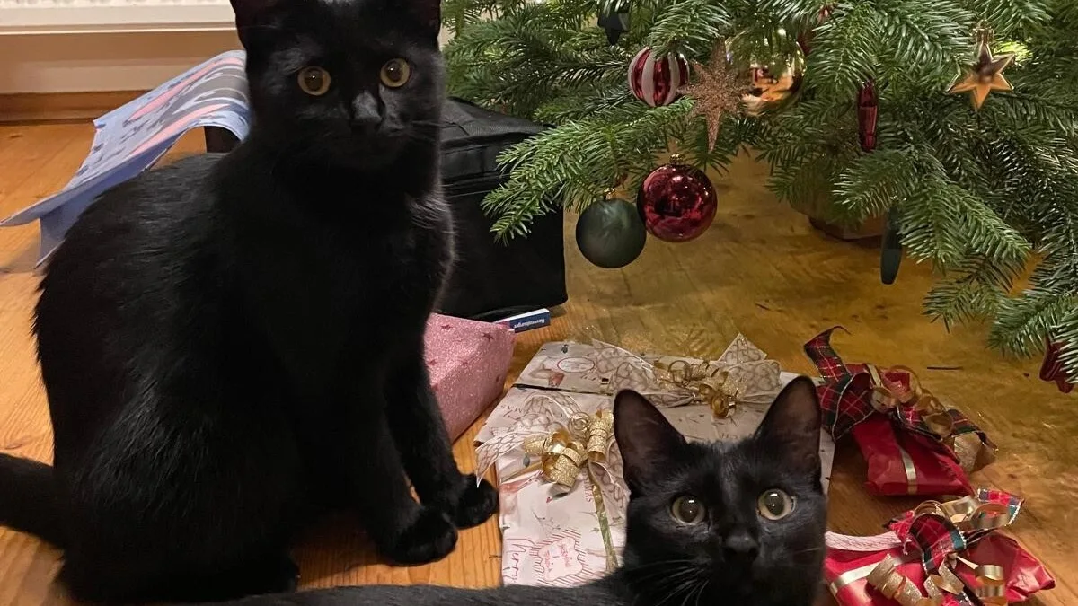 Hermine und Tequila.jpg