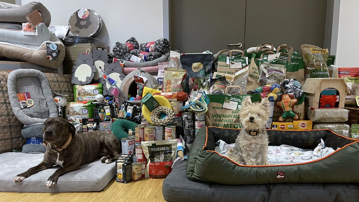 Sonnentiere Sheila und Ivy vor einem Berg an Spenden