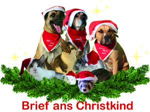 Logo Brief ans Christkind - Wunschzettelaktion der Sonnentiere