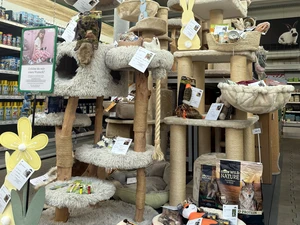 Osterbaum im Dehner-Markt Neunkirchen