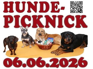 Hundepicknick Banner 2zu1