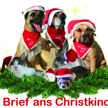 © Landestierschutz Burgenland Logo Brief ans Christkind - Wunschzettelaktion der Sonnentiere