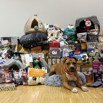 Sonnentier Luna vor Spenden aus dem Dehner Gartencenter Neunkirchen