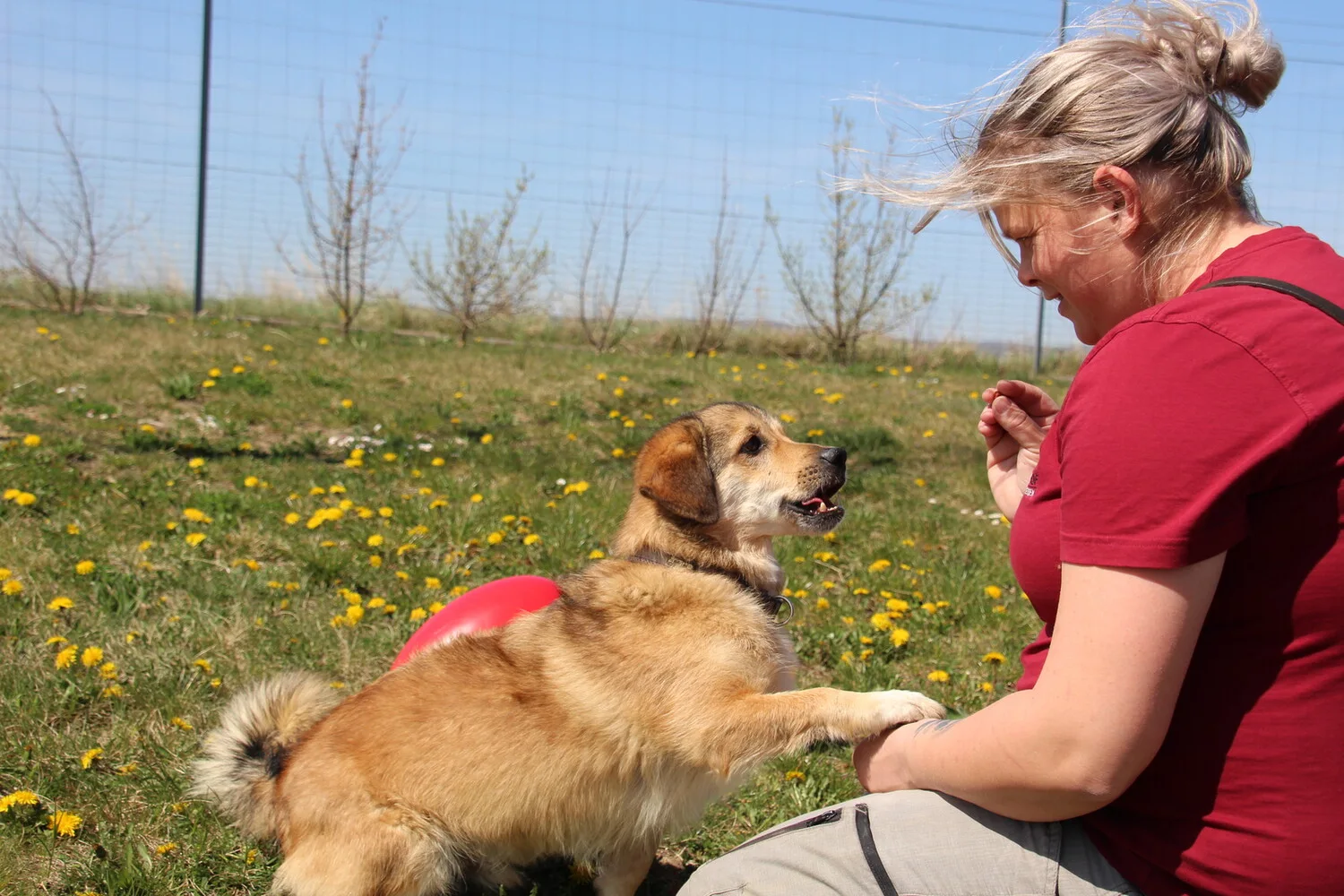 Foto Tierpflegerin mit Hund MIscha