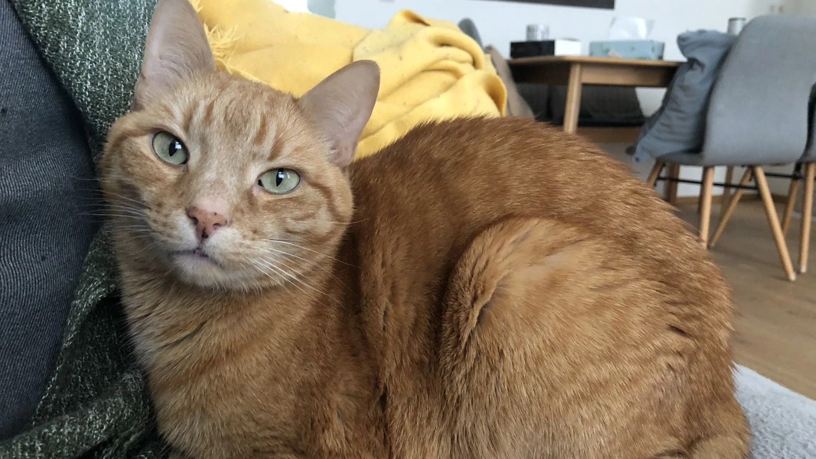 John